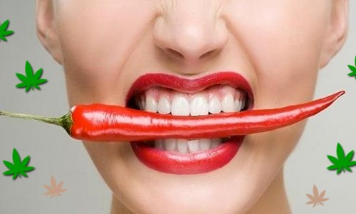 Γιατί πρέπει να τρώτε καυτερές πιπεριές όταν είσαι High από κάνναβη