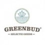 Greenbud Seeds