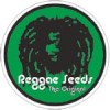 Reggae Seeds