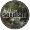 Seedism Seeds