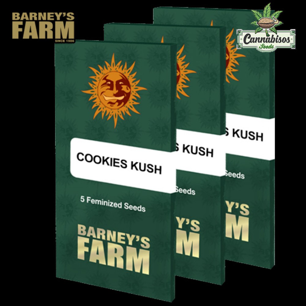COOKIES KUSH (Feminised Seeds) - BARNEYS FARM SEEDS