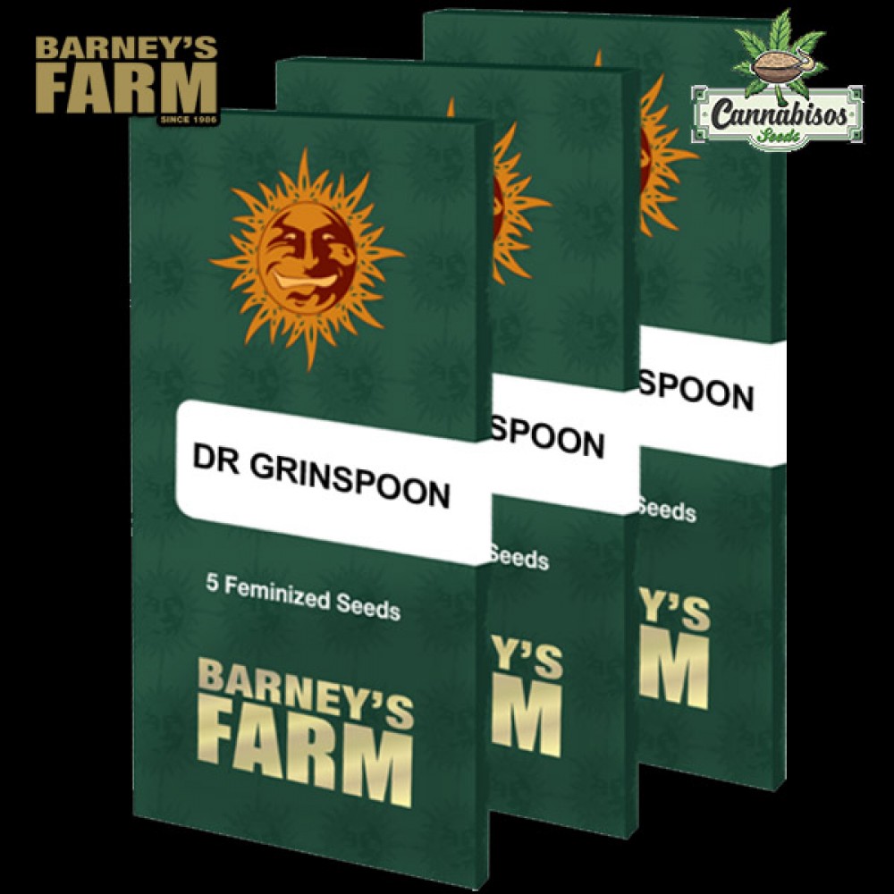 DR GRINSPOON (Feminised Seeds)- BARNEYS FARM SEEDS