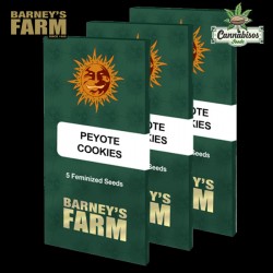PEYOTE COOKIES (Feminised Seeds) – BARNEYS FARM SEEDS