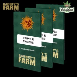 TRIPLE CHEESE (Feminised Seeds)– BARNEYS FARM SEEDS