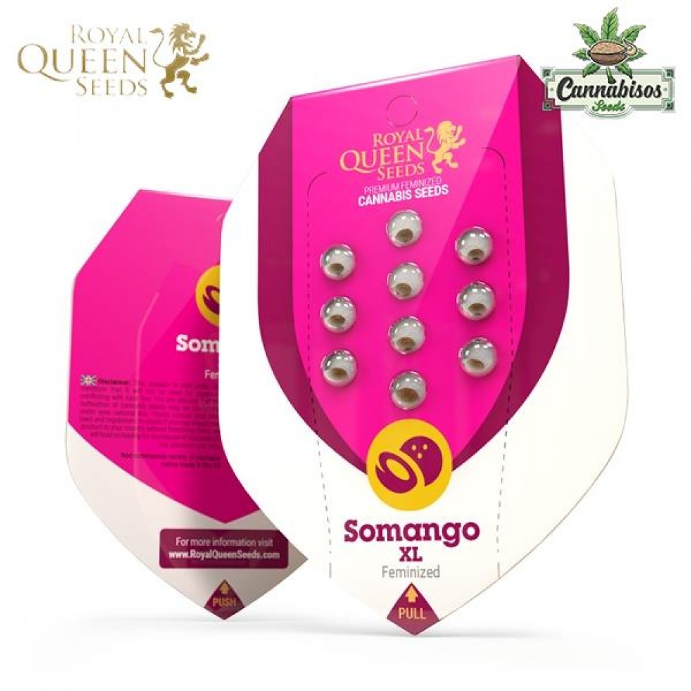 Somango XL (Fem) - Royal Queen Seeds