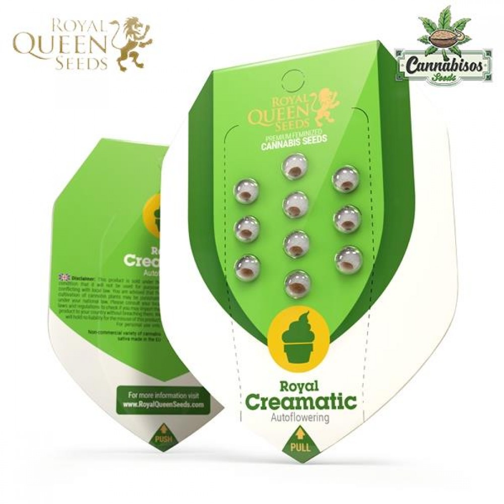 Royal Creamatic (Auto) - Royal Queen Seeds