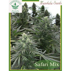 Mandala Seeds-Safari Mix