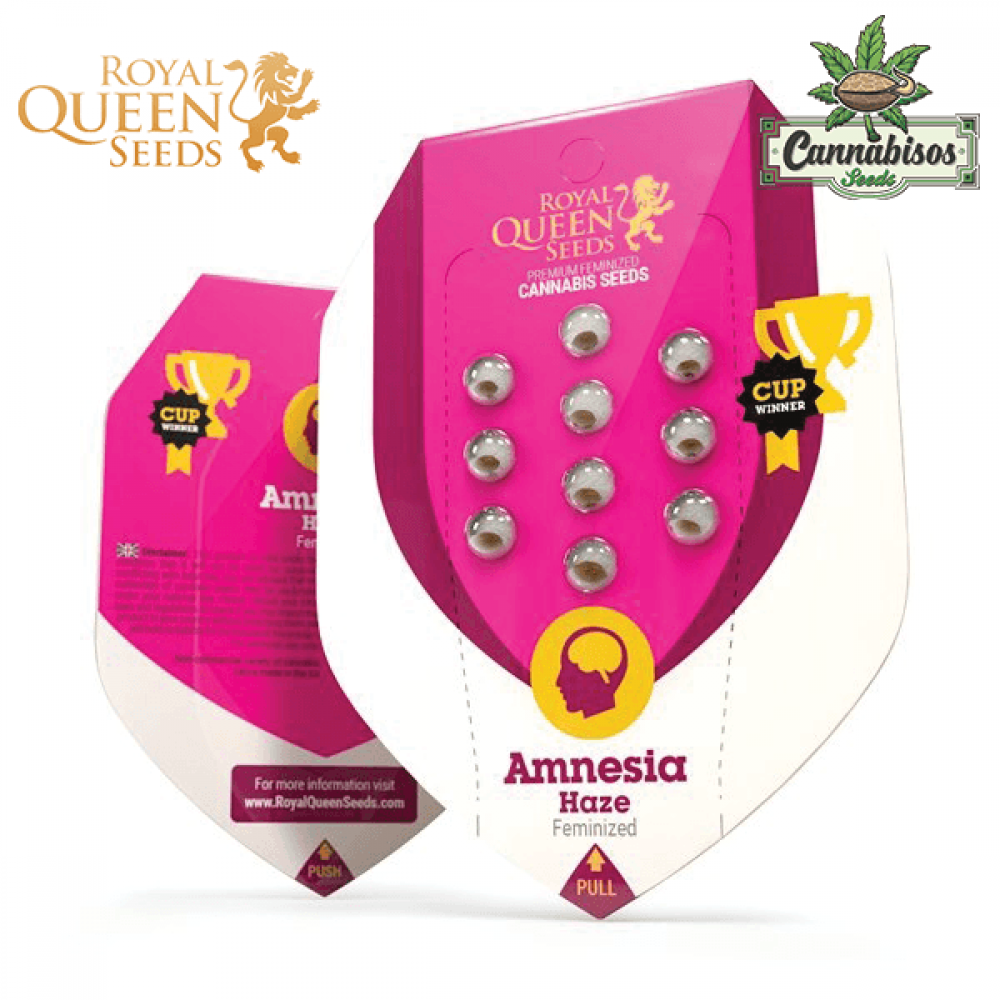 Amnesia Haze (Fem) - Royal Queen Seeds
