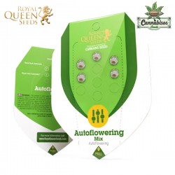 Autoflowering Mix (Auto) - Royal Queen Seeds