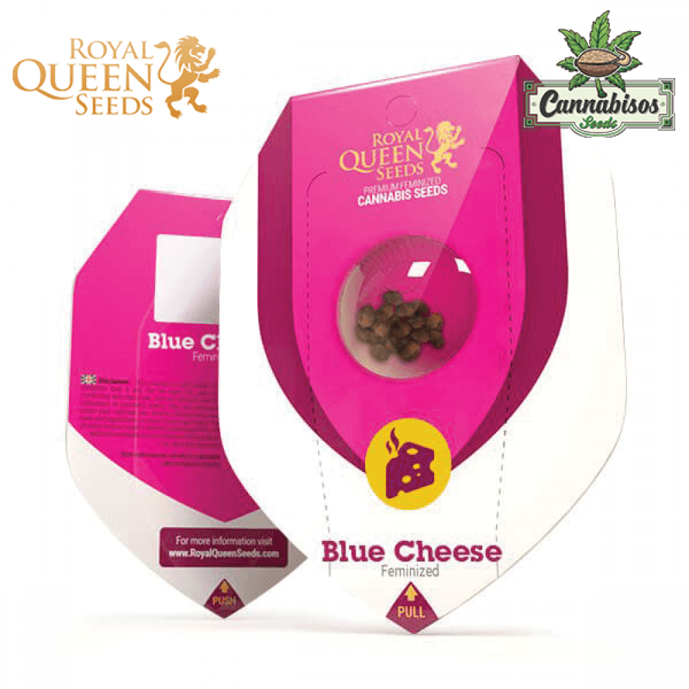 Blue Cheese (Fem) - Royal Queen Seeds