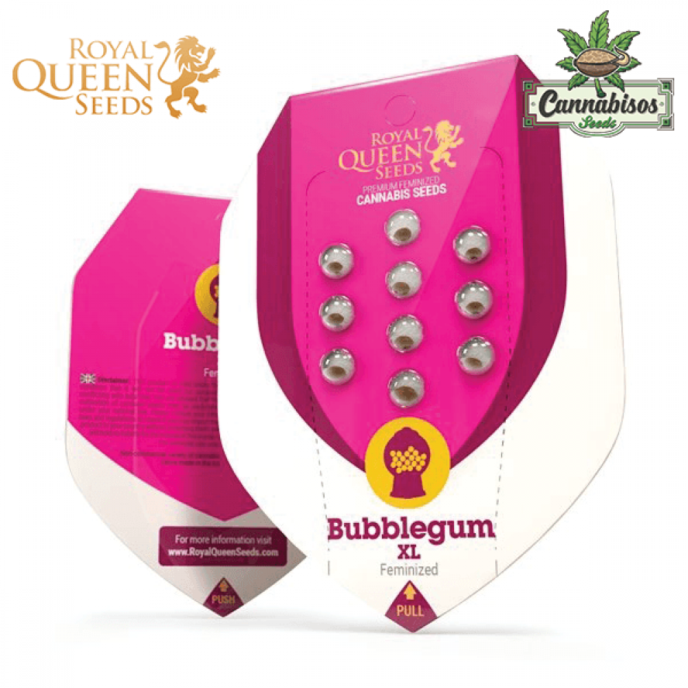 Bubblegum XL (Fem) - Royal Queen Seeds
