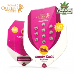 Candy Kush Express | Fast Flowering (Fem) - Royal Queen Seeds