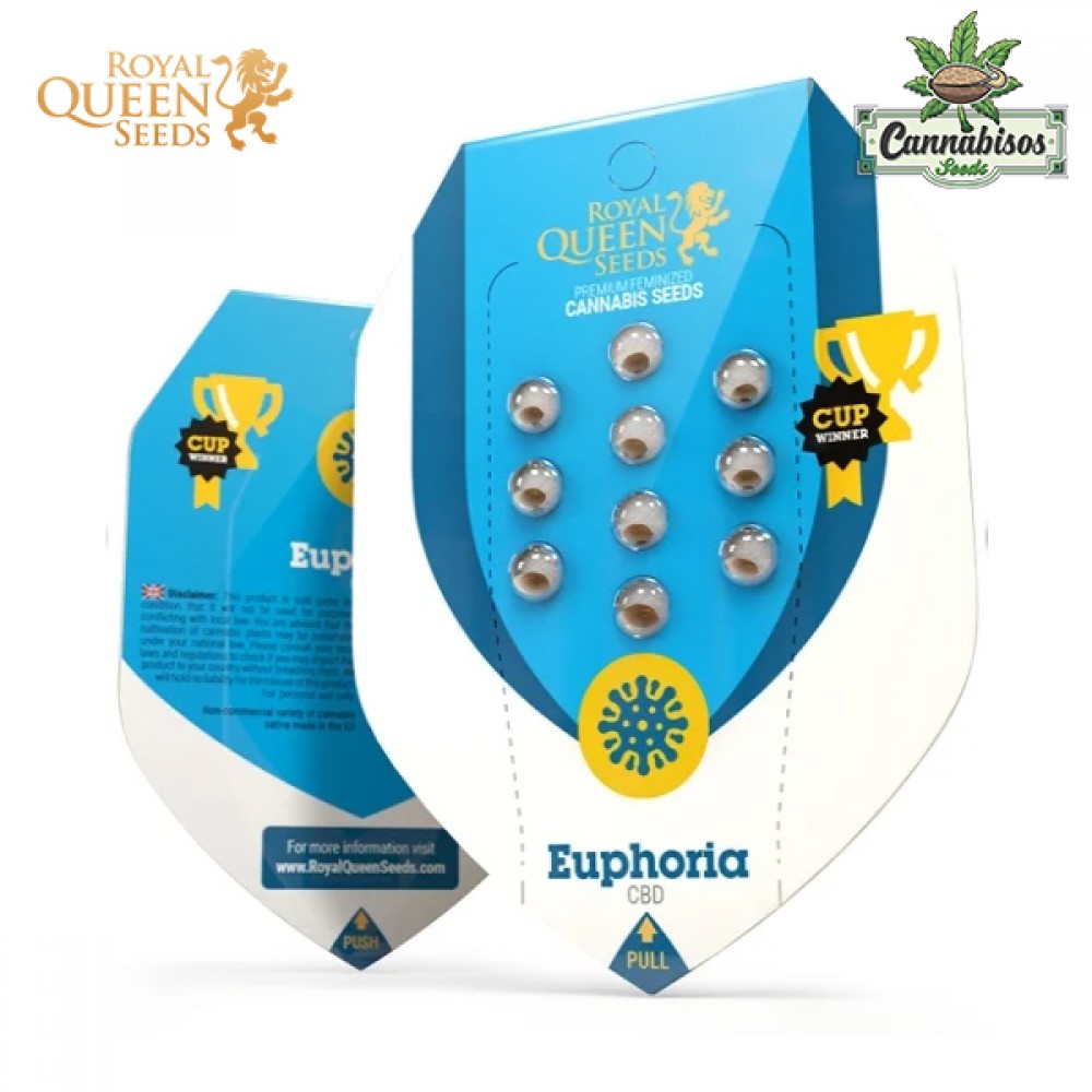Euphoria (CBD) - Royal Queen Seeds