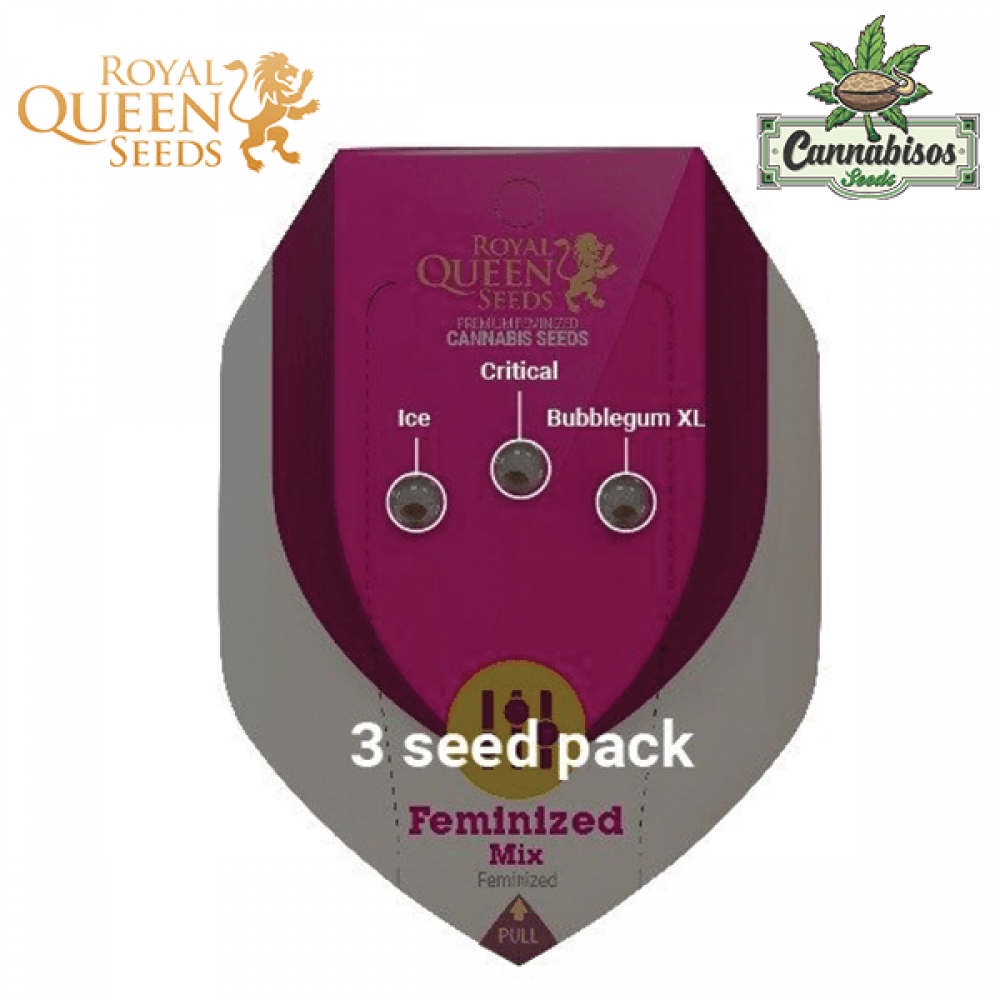 Feminized Mix Seeds - Royal Queen Seeds