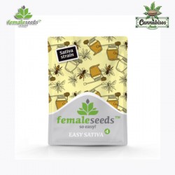 EASY SATIVA (Feminised Seeds) - FEMALE SEEDS