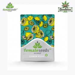 LEMON KUSH (Feminised Seeds) - FEMALE SEEDS