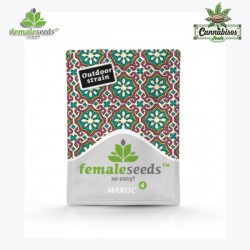 MAROC (Feminised Seeds) - FEMALE SEEDS