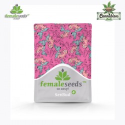 SEX BUD (Feminised Seeds) - FEMALE SEEDS