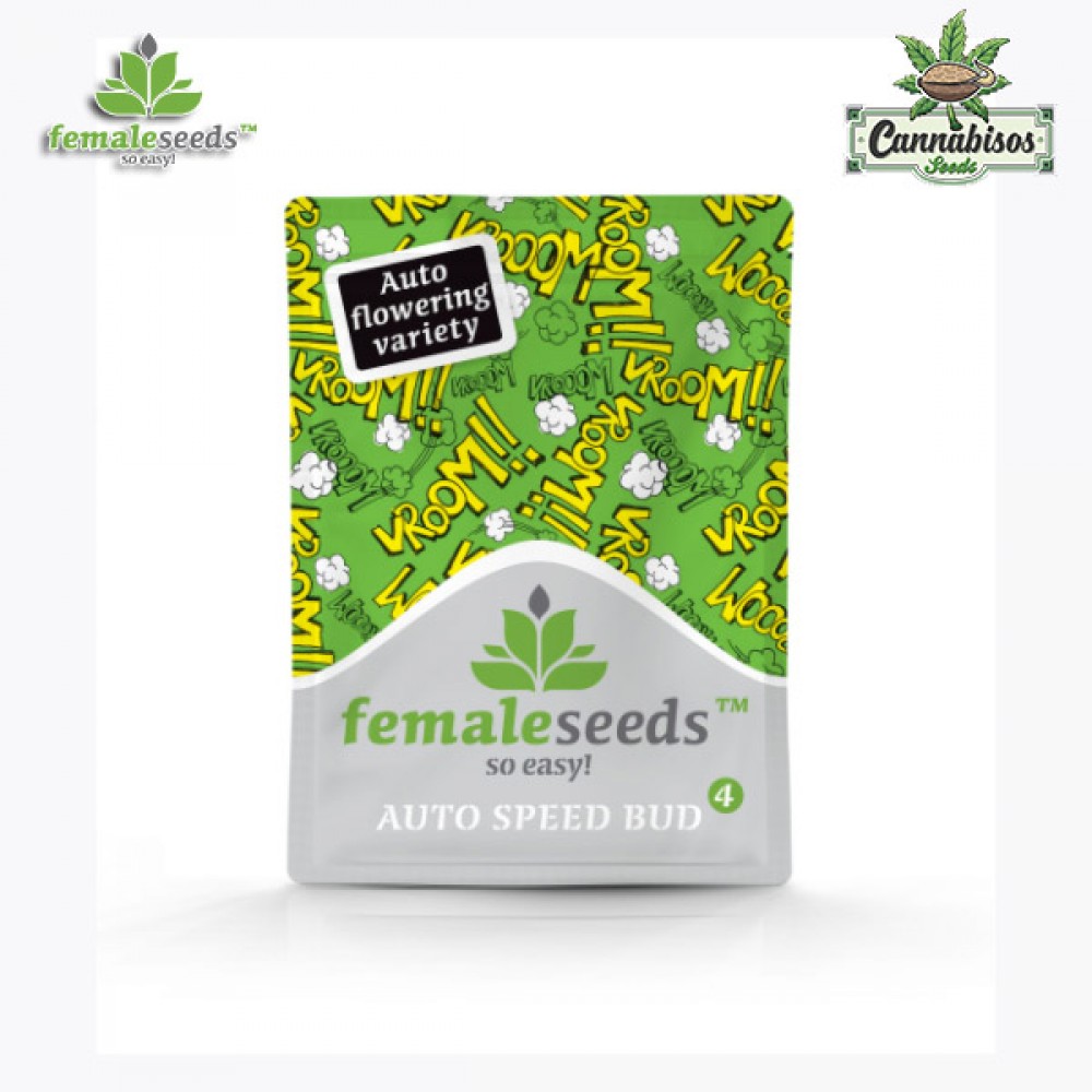 SPEED BUD AUTO (Auto + Feminised Seeds) - FEMALE SEEDS
