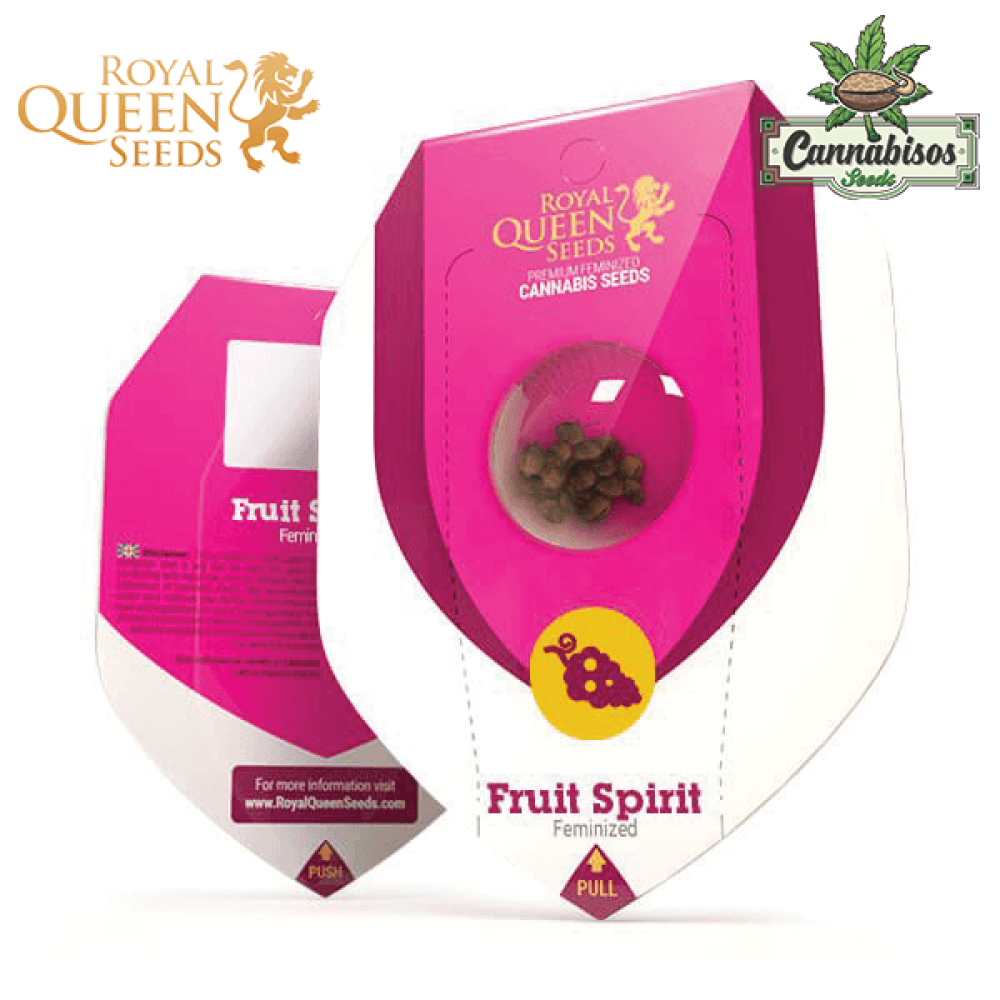 Fruit Spirit (Fem) - Royal Queen Seeds