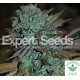 EXPERT GORILLA AUTO (Auto + Feminised Seeds) - EXPERT SEEDS