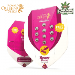 Honey Cream | Fast Flowering (Fem) - Royal Queen Seeds