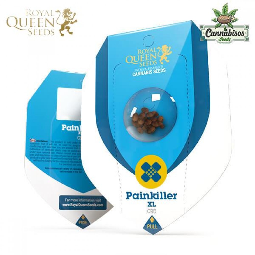 Painkiller Xl (CBD) - Royal Queen Seeds