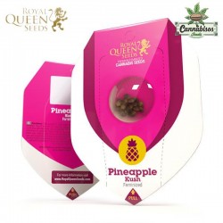 Pineapple Kush (Fem) - Royal Queen Seeds