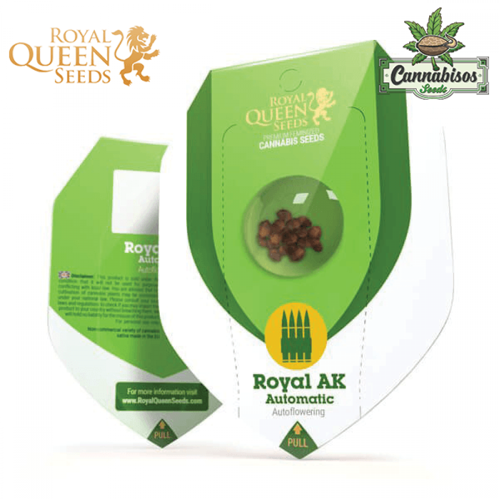 Royal AK (Auto) - Royal Queen Seeds