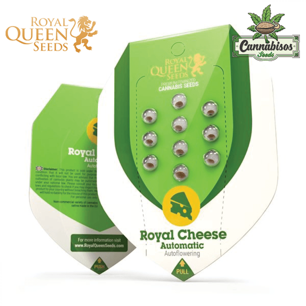 Royal Cheese (Auto) - Royal Queen Seeds