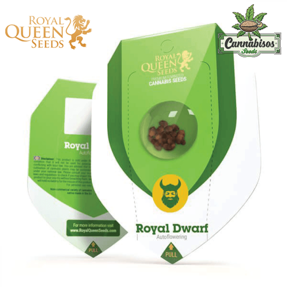 Royal Dwarf (Auto) - Royal Queen Seeds