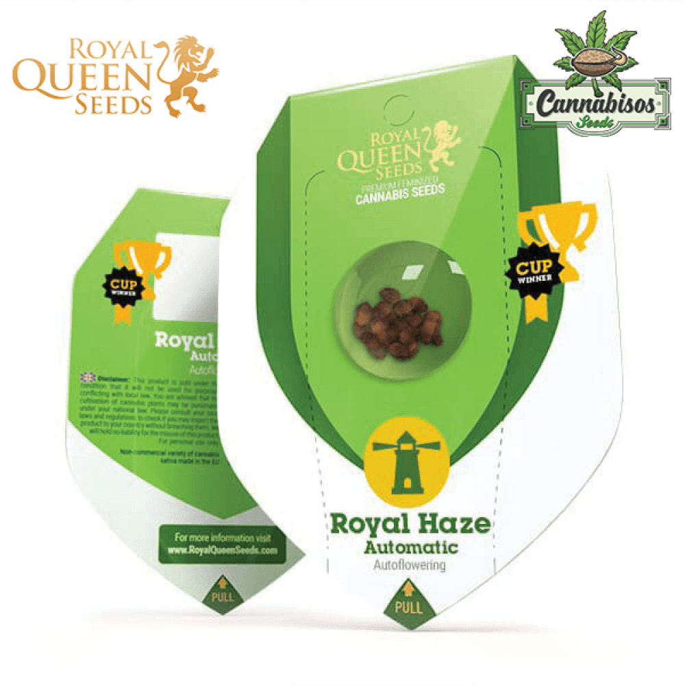 Royal Haze (Auto) - Royal Queen Seeds