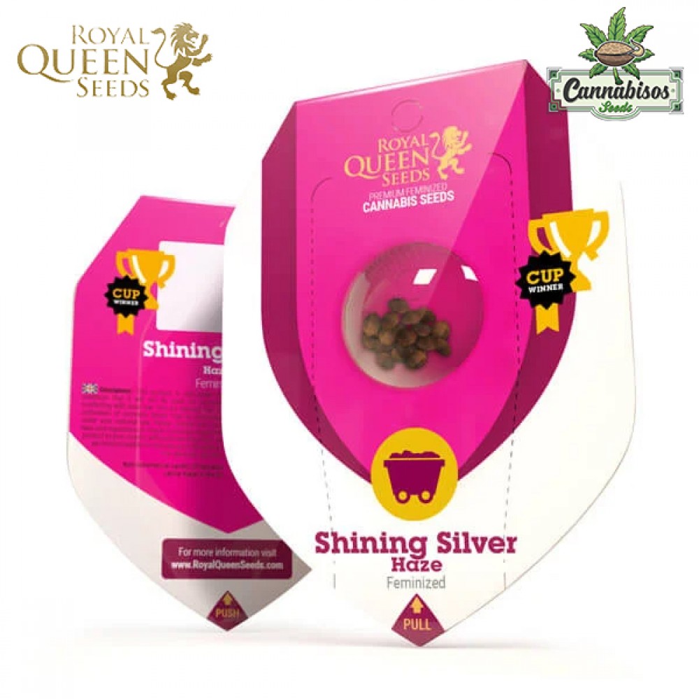 Shining Silver Haze (Fem) - Royal Queen Seeds