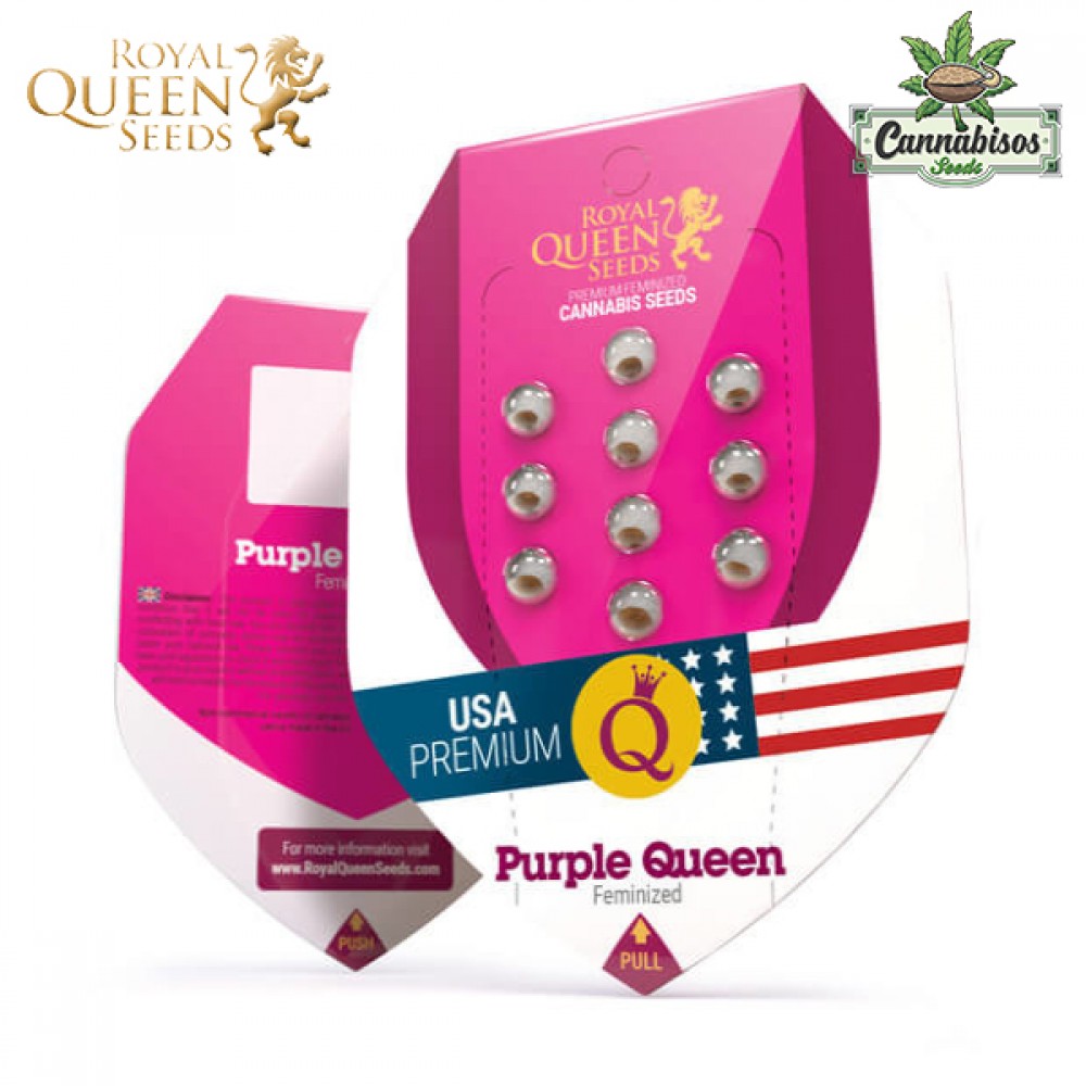 Purple Queen (fem) - Royal Queen Seeds