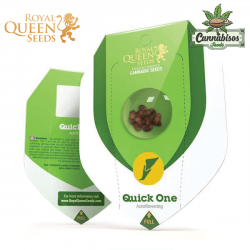 Quick One (Auto) - Royal Queen Seeds