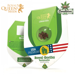 Royal Gorilla (Auto) - Royal Queen Seeds