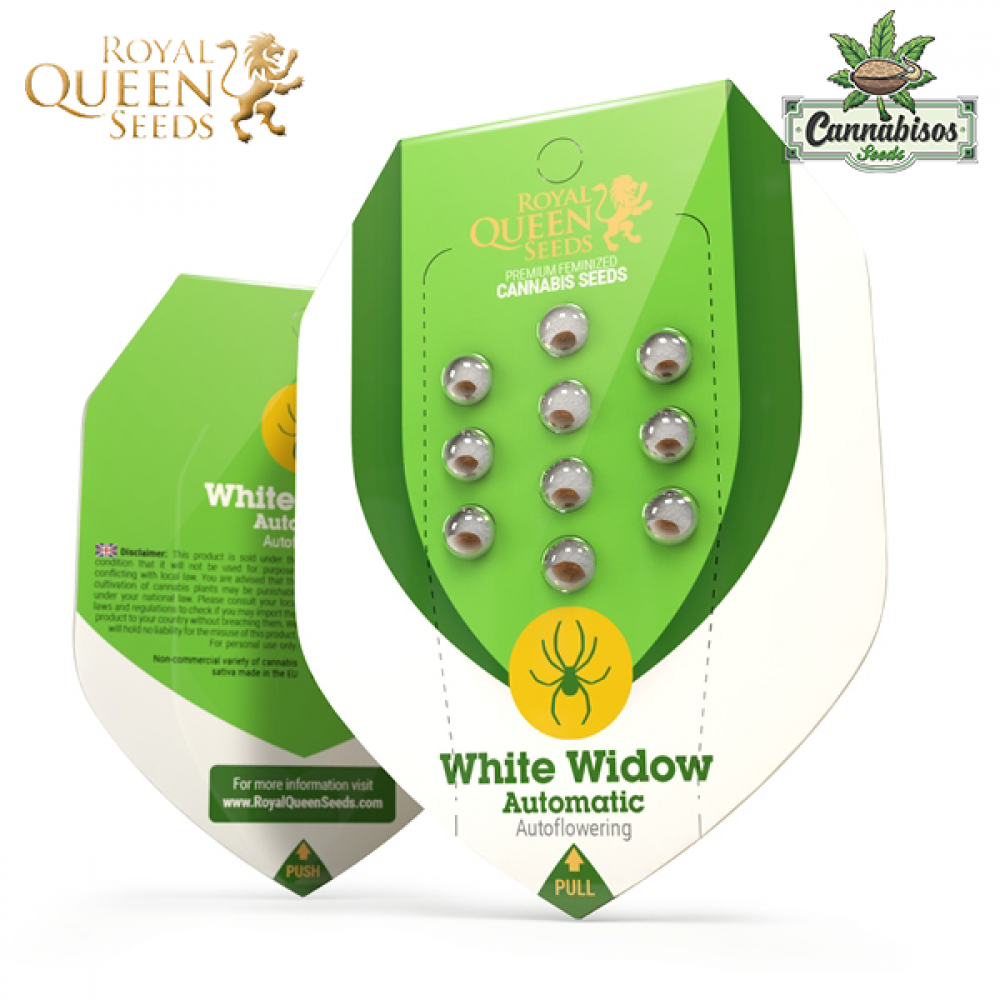 White Widow (Auto) - Royal Queen Seeds