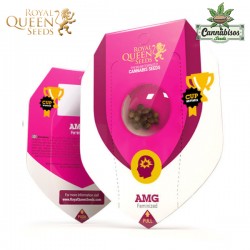 AMG (Fem) - Royal Queen Seeds