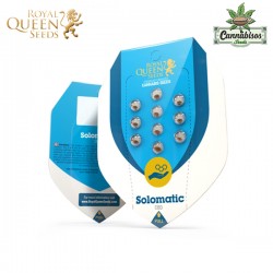 Solomatic (Auto) | CBD - Royal Queen Seeds