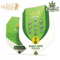 Royal Jack (Auto) - Royal Queen Seeds