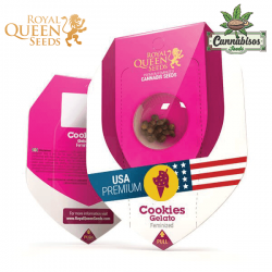Cookies Gelato (Fem) - Royal Queen Seeds