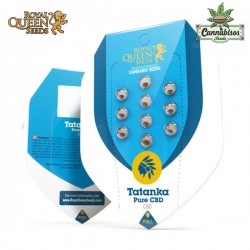 Tatanka Pure (CBD) - Royal Queen Seeds
