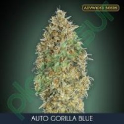 AUTO GORILLA BLUE (Auto + Feminised Seeds) - ADVANCED SEEDS