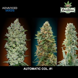 COLLECTION # 1 AUTOMATIC (Auto + Feminised Seeds) - ADVANCED SEEDS