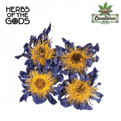 Blue Lotus (Nymphaea Caerulea) 20gr - Herbs of the Gods