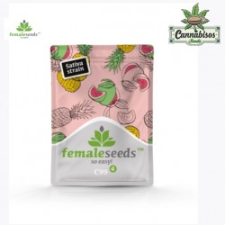 C99 (Feminised Seeds) - FEMALE SEEDS