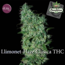 ELITE SEEDS - Llimonet Haze Classic THC