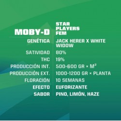 BSF SEEDS - Moby D