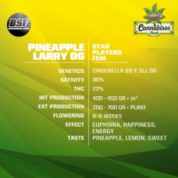 BSF SEEDS - Pineapple Larry OG