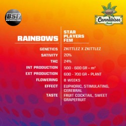BSF SEEDS - Rainbows
